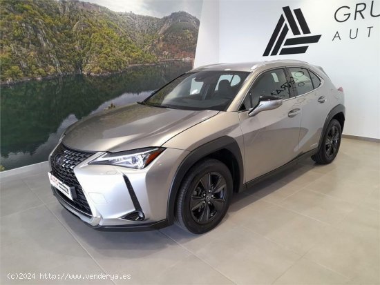 Lexus UX 2.0 250h Business - San Martiño -Faz