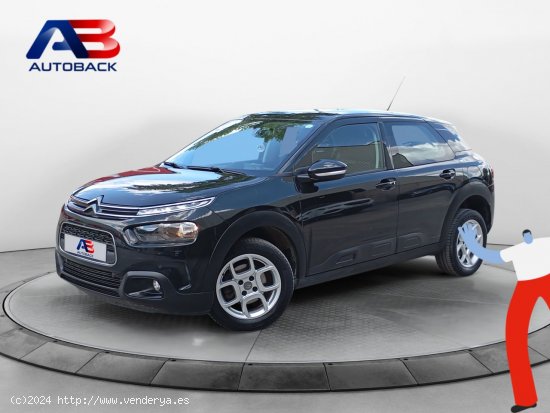 Citroën C4 Cactus BlueHDi 120 S&S EAT6 Shine - Navalcarnero