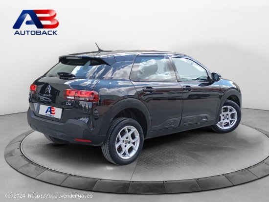 Citroën C4 Cactus BlueHDi 120 S&S EAT6 Shine - Navalcarnero