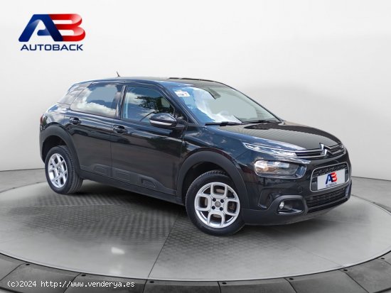 Citroën C4 Cactus BlueHDi 120 S&S EAT6 Shine - Navalcarnero