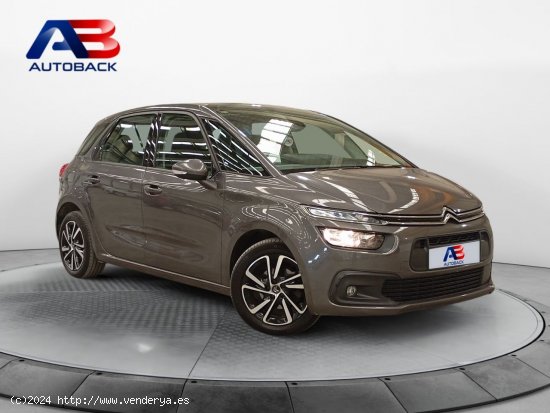 Citroën C4 Spacetourer BlueHDi 96KW (130CV) EAT8 Origins - Navalcarnero