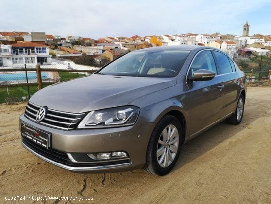 VOLKSWAGEN Passat en venta en Monterrubio de la Serena (Badajoz) - Monterrubio de la Serena