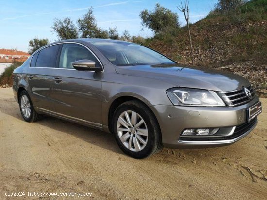 VOLKSWAGEN Passat en venta en Monterrubio de la Serena (Badajoz) - Monterrubio de la Serena