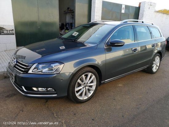 VOLKSWAGEN Passat en venta en Monterrubio de la Serena (Badajoz) - Monterrubio de la Serena