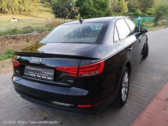 AUDI A4 en venta en Monterrubio de la Serena (Badajoz) - Monterrubio de la Serena