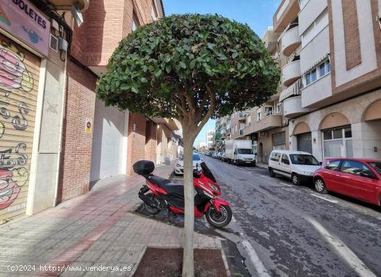  Local en venta en Calle Mare De Deu Del Remei, Bajo, 03110, Mutxamel (Alicante) - ALICANTE 