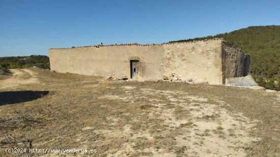 OPORTUNIDAD FINCA RUSTICA DE REGADIO CON GRAN CONSTUCCION AGRICOLA EN VILLALBA DELS ARCS - TARRAGONA