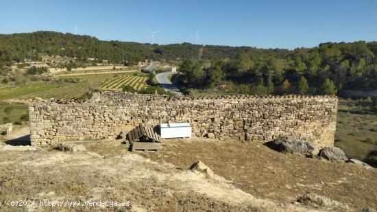 OPORTUNIDAD FINCA RUSTICA DE REGADIO CON GRAN CONSTUCCION AGRICOLA EN VILLALBA DELS ARCS - TARRAGONA