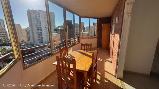 Apartamento de esquina muy cerca de la playa de levante Benidorm! www.euroloix.com - ALICANTE