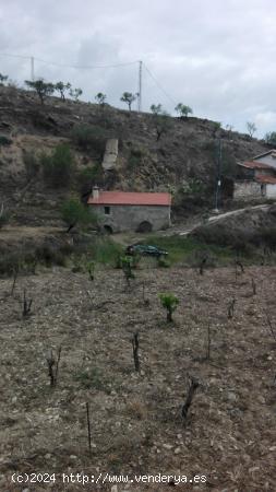  VENTA DE TERRENO RÚSTICO CON NAVE CORTIJO EN TAHAL, ALMERÍA. - ALMERIA 