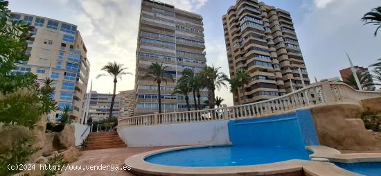 Apartamento Primera linea de Playa San Juan - ALICANTE