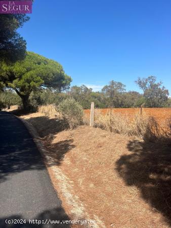 MAGNIFICA PARCELA EN LA MUELA - CADIZ