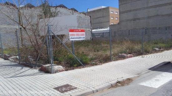 TERRENO EN OLIVA, VALENCIA (PRECIO A CONSULTAR) - VALENCIA