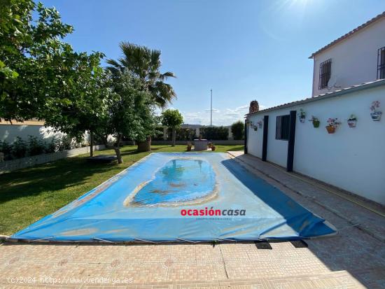 PRECIOSA PARCELA CON VIVIENDA Y PISCINA - CORDOBA