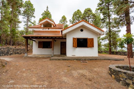  SE VENDE FINCA CON CASA EN ICOD DE LOS VINOS - SANTA CRUZ DE TENERIFE 