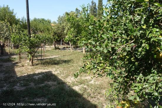 ++Chalet en la zona rural de Era Alta, Murcia++, - MURCIA