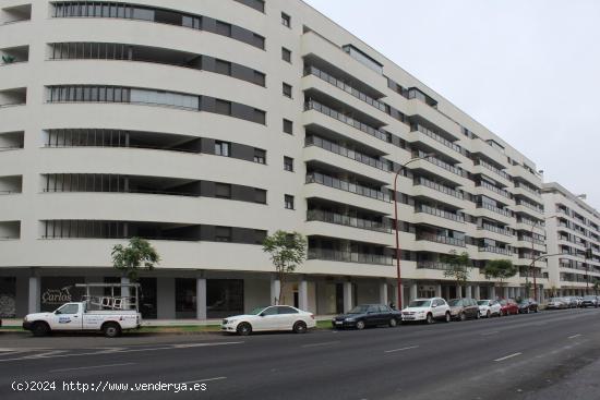 ÚLTIMO LOCAL EN ALQUILER en Avda. de Las Ciencias, (Edificio Argos II) - SEVILLA