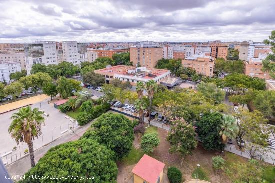 Se Alquila en Sevilla - SEVILLA