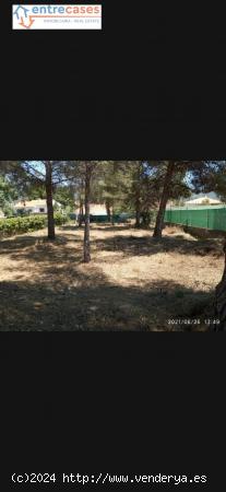 TERRENO URBANO EN URBANIZACIÓN DE ALGAR DEL PALANCIA - VALENCIA