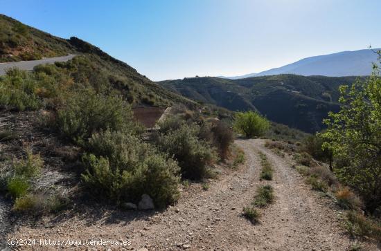 VENTA DE BONITA FINCA DE OLIVOS EN LANJARÓN (GRANADA) - GRANADA