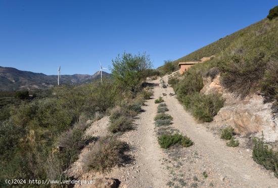 VENTA DE BONITA FINCA DE OLIVOS EN LANJARÓN (GRANADA) - GRANADA