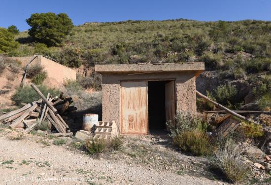 VENTA DE BONITA FINCA DE OLIVOS EN LANJARÓN (GRANADA) - GRANADA