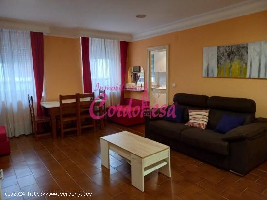  MAGNIFICO APARTAMENTO EN ALQUILER EN PLENO CENTRO. - CORDOBA 