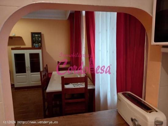 MAGNIFICO APARTAMENTO EN ALQUILER EN PLENO CENTRO. - CORDOBA