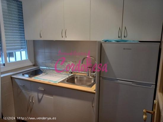 MAGNIFICO APARTAMENTO EN ALQUILER EN PLENO CENTRO. - CORDOBA