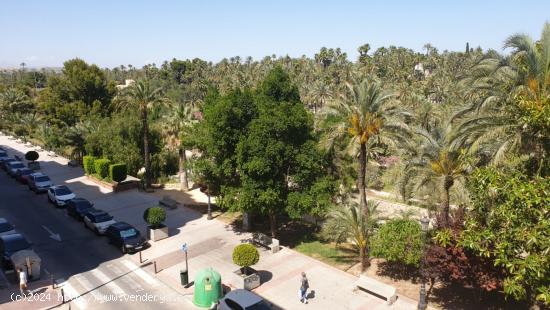 Estupendo piso en venta en Elche, con vistas al palmeral - ALICANTE