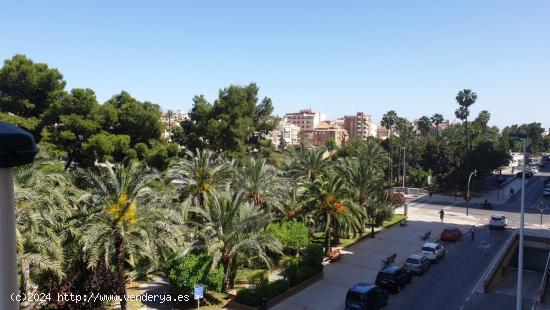 Estupendo piso en venta en Elche, con vistas al palmeral - ALICANTE