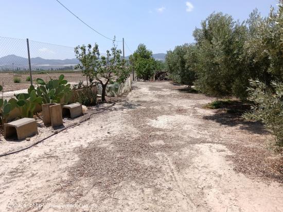 Se vende finca en Huércal-Overa, El Saltador!!!! - ALMERIA