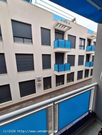 Apartamento céntrico, 2 dormitorios, piscina comunitaria - ALICANTE