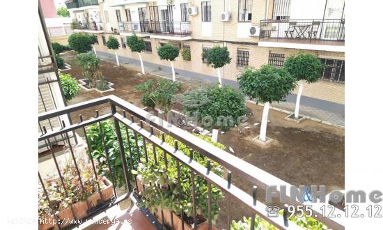  PISO DE ALQUILER PARA ESTUDIANTES CON ASCENSOR EN TRIANA. SEVILLA - SEVILLA 