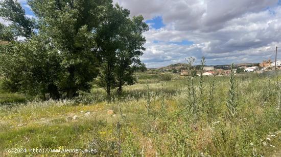 Finca rústica en venta en Fuentealbilla, Albacete. - ALBACETE