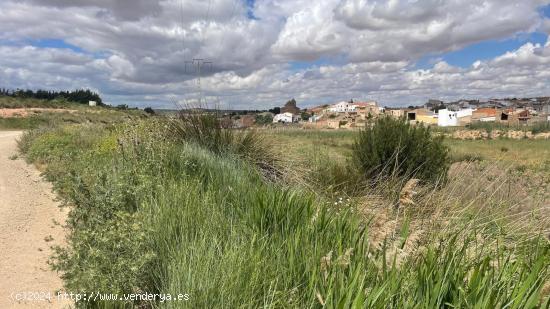 Finca rústica en venta en Fuentealbilla, Albacete. - ALBACETE