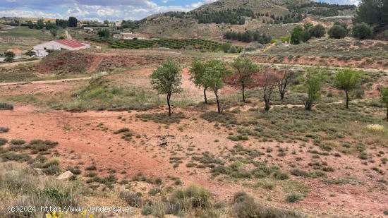 Se vende parcela de terreno rústico pegado al pabellón polideportivo de Fuentealbilla - ALBACETE