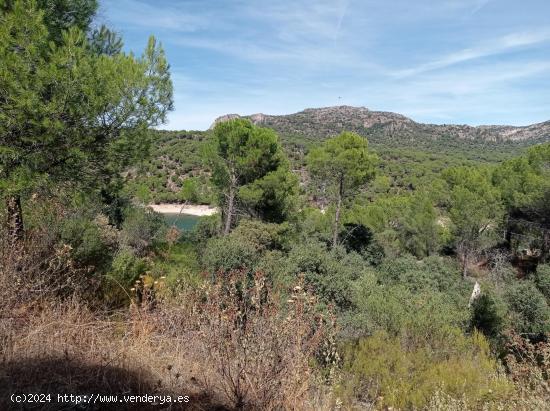  PRECIOSA PARCELA VISTAS AL PANTANO - MADRID 