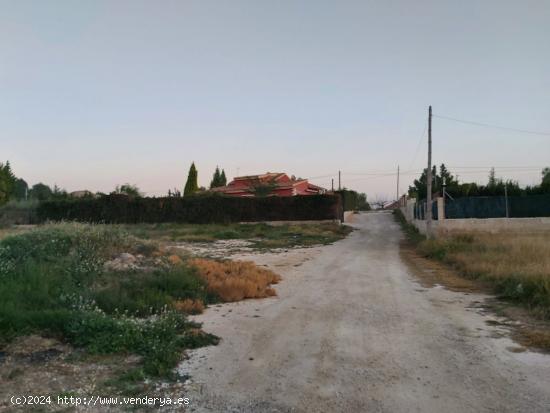 Parcela en el Romeral de 2400 metros cuadrados, Molina de Segura. - MURCIA