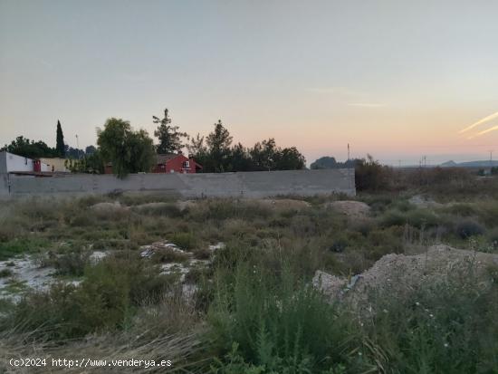 Parcela en el Romeral de 2400 metros cuadrados, Molina de Segura. - MURCIA