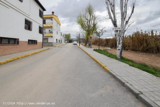 ESTUPENDA PARCELA EN PULIANAS! - GRANADA