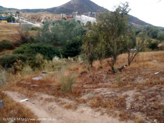 TERRENO DISPONIBLE EN ATARFE! - GRANADA