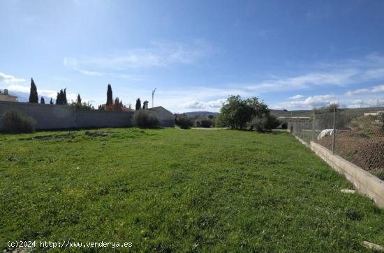  FINCA RÚSTICA SIN COMISIONES! - GRANADA 