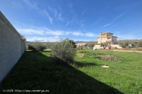 FINCA RÚSTICA SIN COMISIONES! - GRANADA