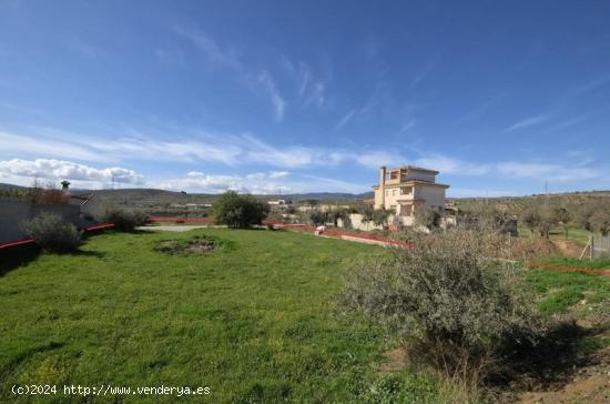 FINCA RÚSTICA SIN COMISIONES! - GRANADA