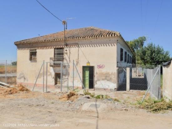 VIVIENDA Y FINCA EN GRANADA! - GRANADA