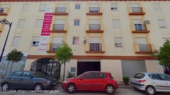 LOCAL COMERCIAL DISPONIBLE EN PINOS PUENTE!! - GRANADA