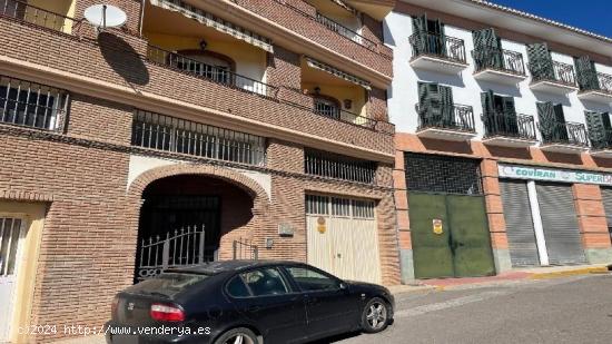 LOCAL COMERCIAL DISPONIBLE EN PELIGROS!! - GRANADA