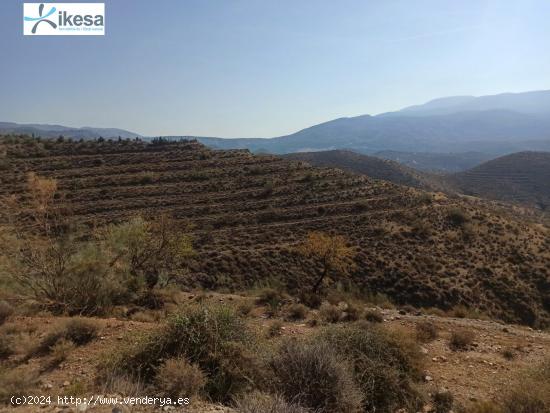  Finca rustica de 90.000 Metros en Ugijar - GRANADA 