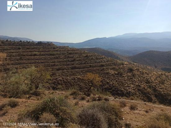 Finca rustica de 90.000 Metros en Ugijar - GRANADA